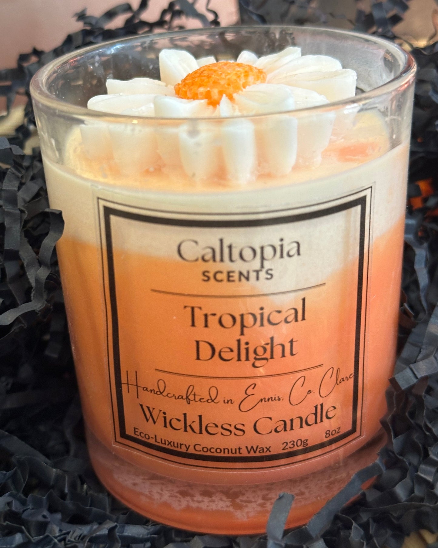 Tropical Delight (🌸Spring) - Wickless Candle 20cl