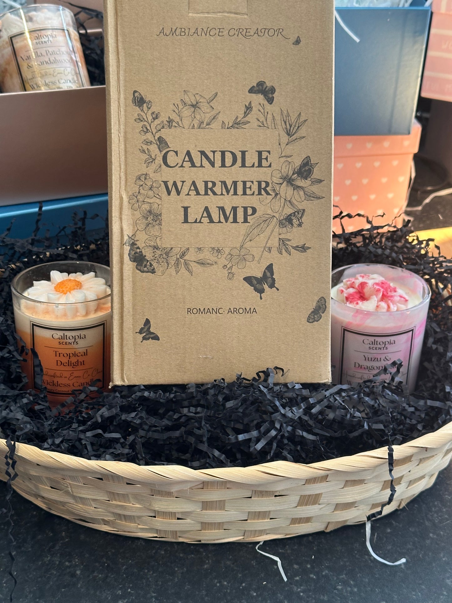 Tropical Delight (🌸Spring) - Wickless Candle 20cl