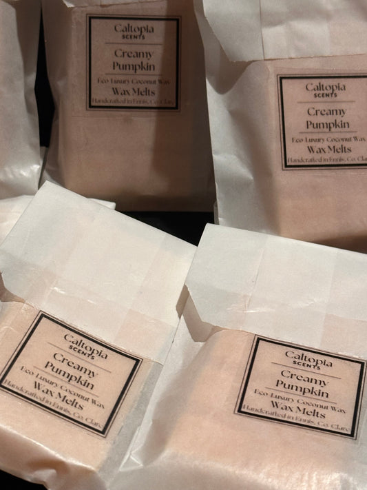 🎃 Autumn 2026 - Creamy Pumpkin – Scoopies & Small Bars