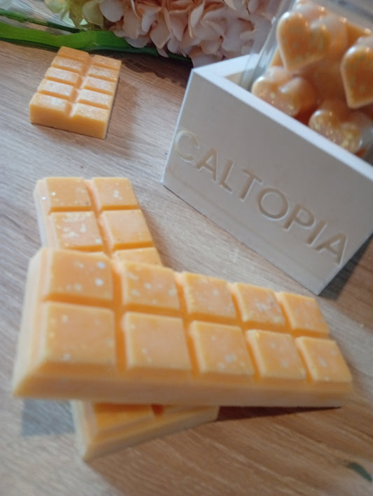 Very Vanilla - Snap Bar Wax Melt (50g)